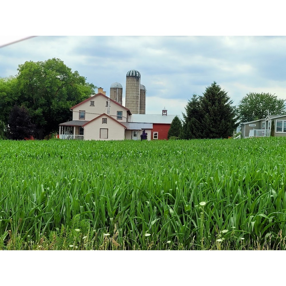 Private Countryside Back Roads Tour  - Tues, Thurs, Sat (2-23 People)